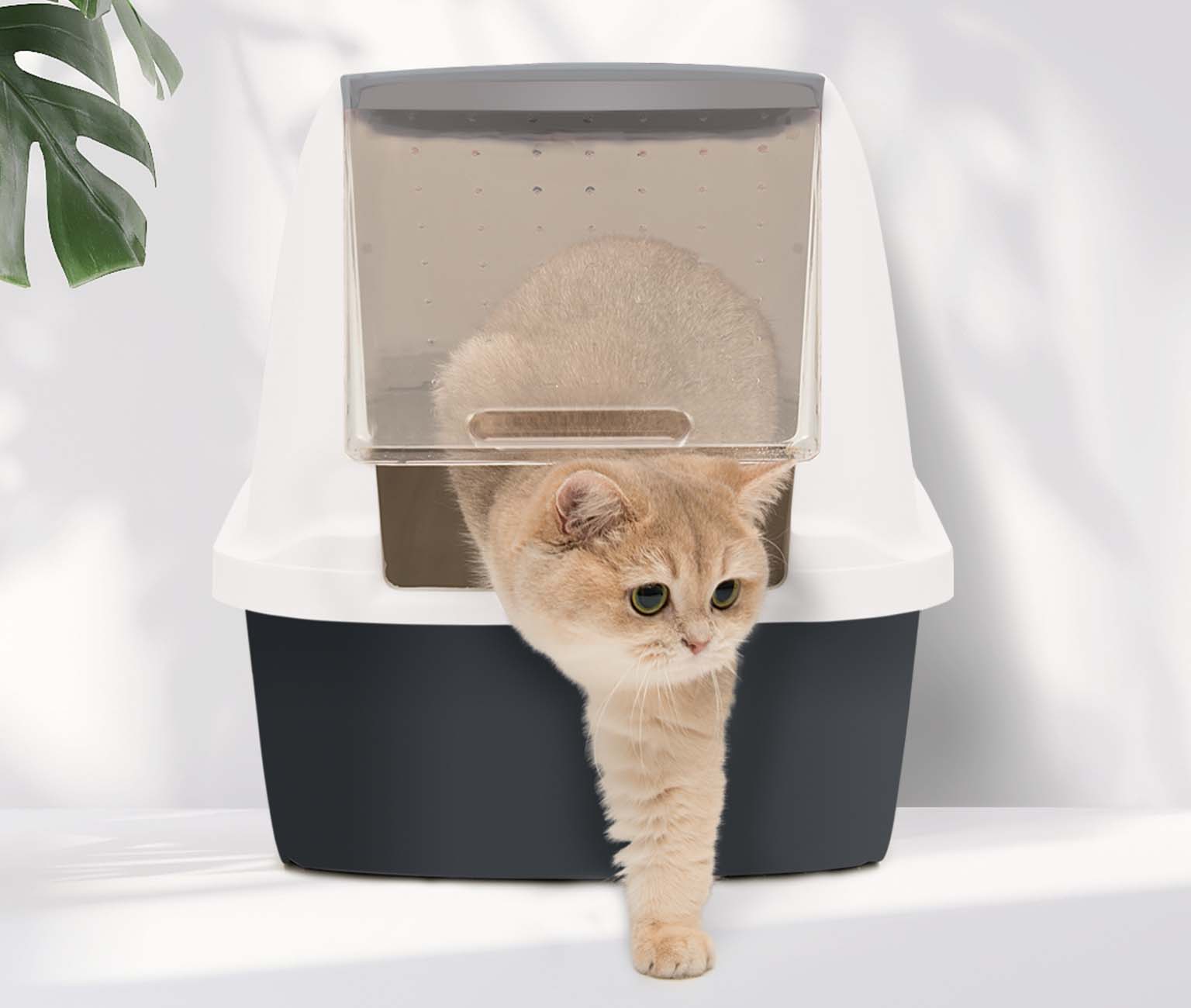 Eine Katze benutzt die Katzentoilette mit Airsift Filtersystem