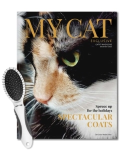 Catit magazine cover for December 2023 featuring a cat and a grooming brush