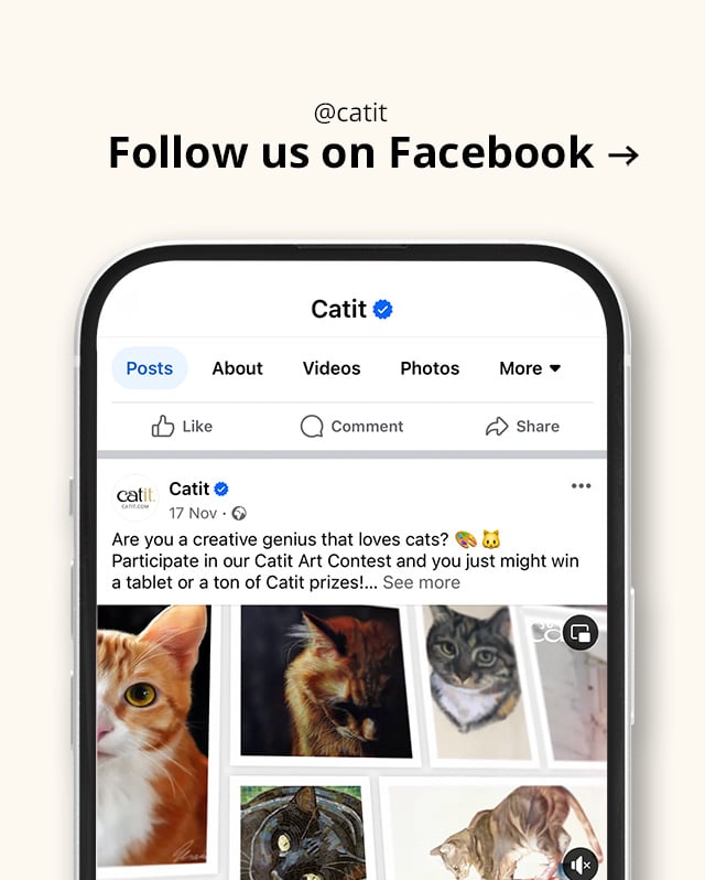 Follow us on Facebook