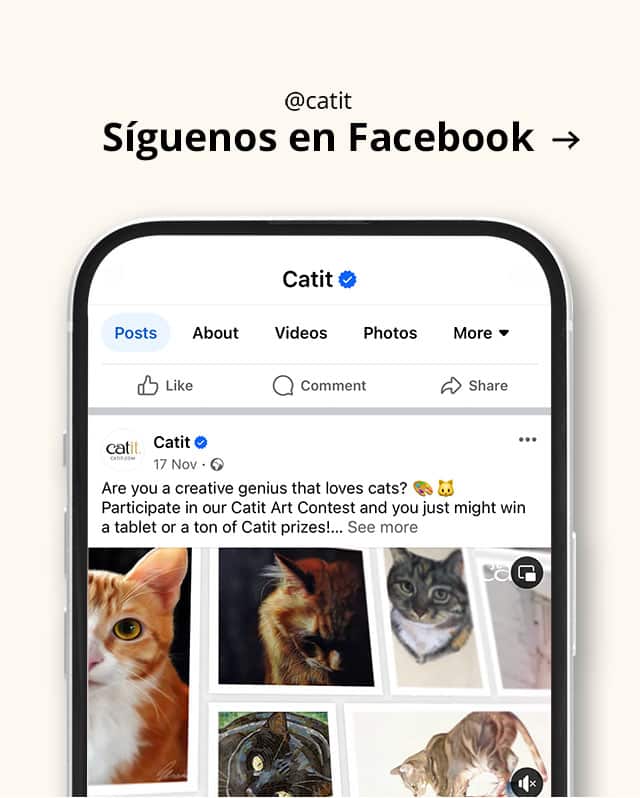 Siguenos en Facebook