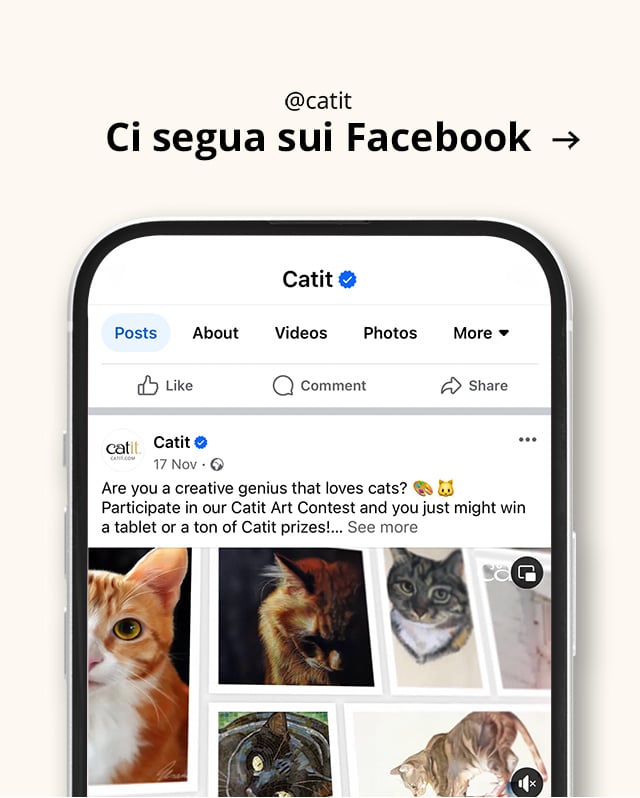 Ci segua sui Facebook