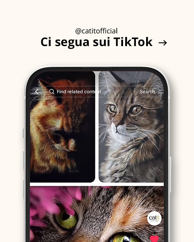 Ci segua sui TikTok