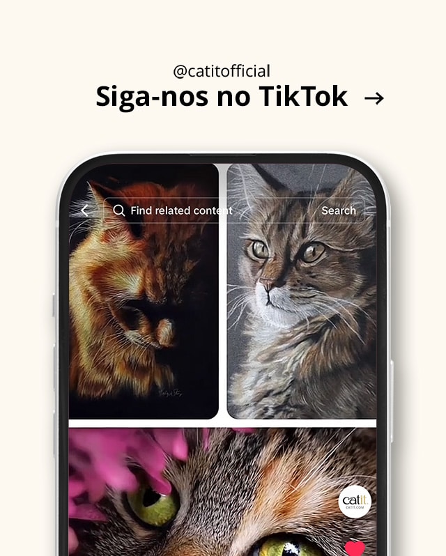 Siga-nos no TikTok