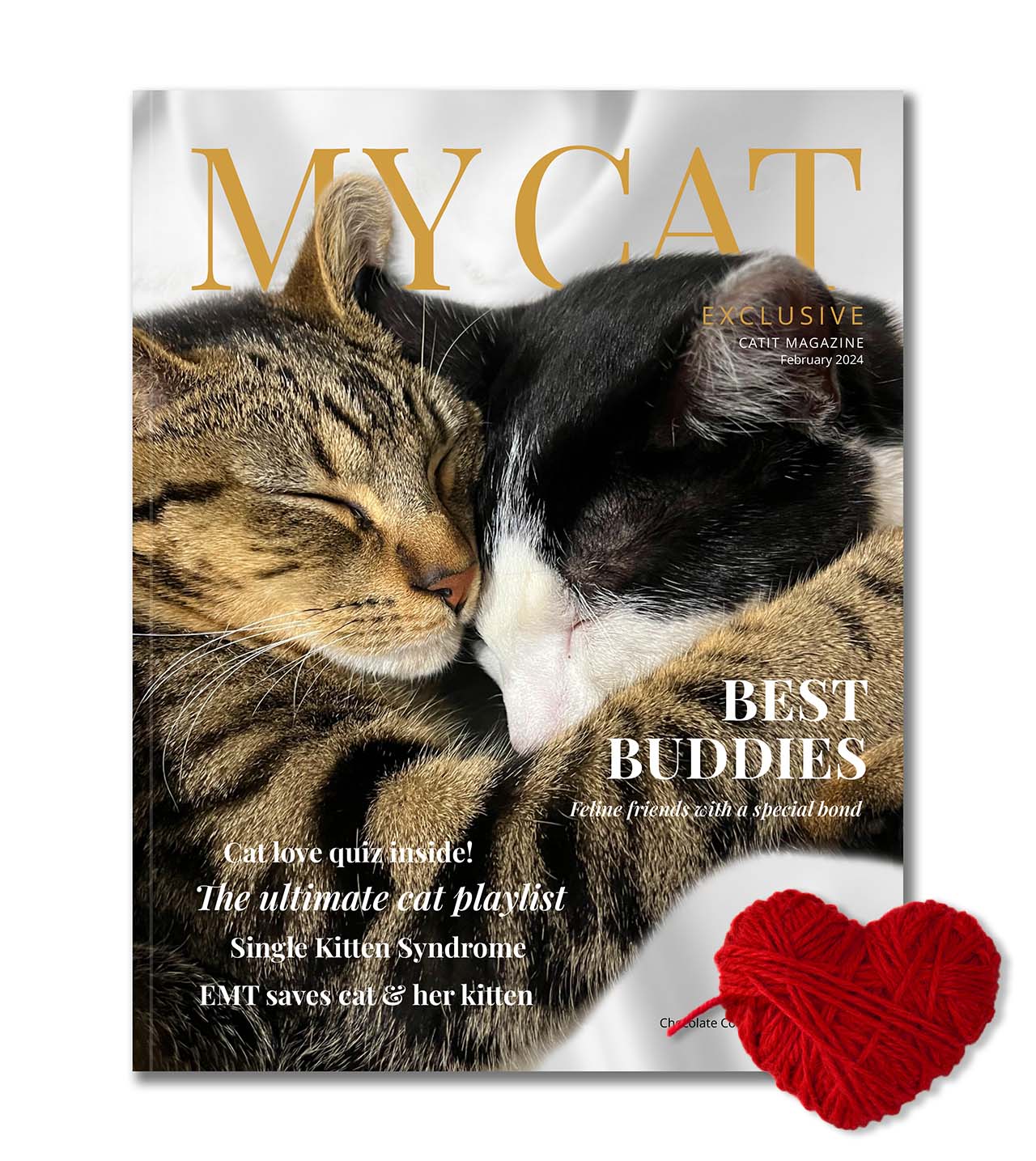 February 2024 issue of My Cat magazine featuring two cats cuddling and articles on cat care and bonding