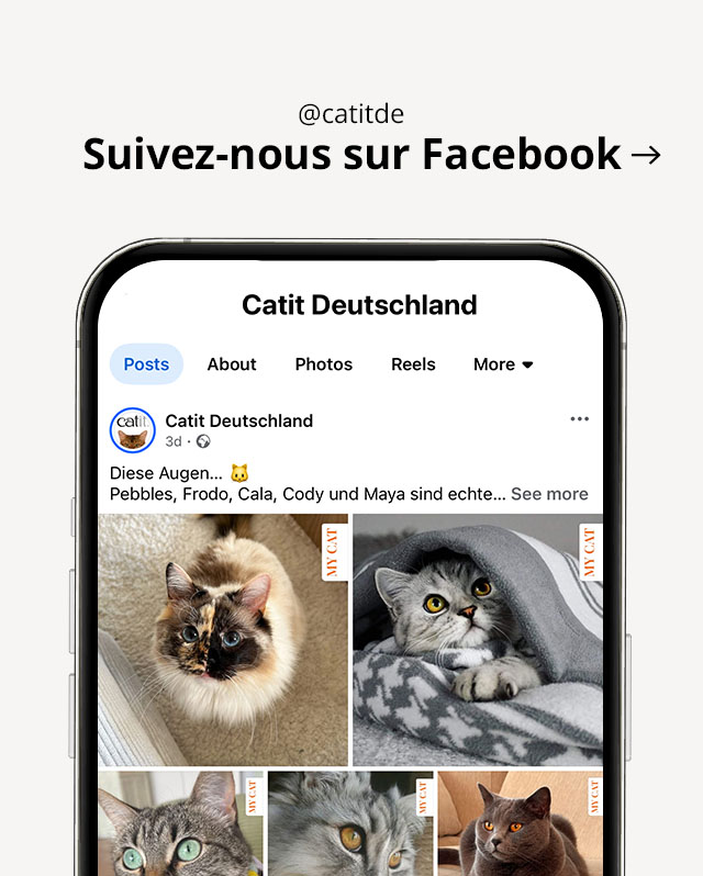 Visitez @catitdeutschland sur facebook