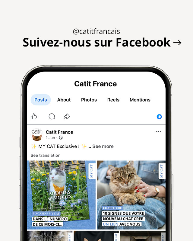 Visitez @catitfrancais sur facebook