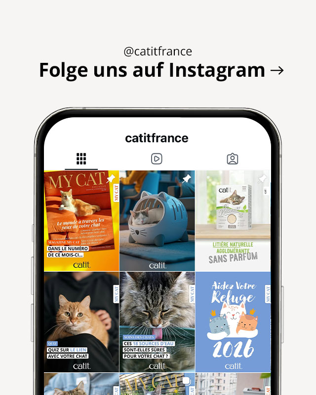 Besuchen Sie @catitfrance auf instagram