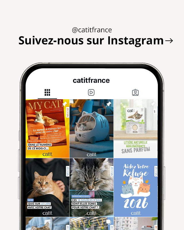 Visitez @catitfrance sur Instagram