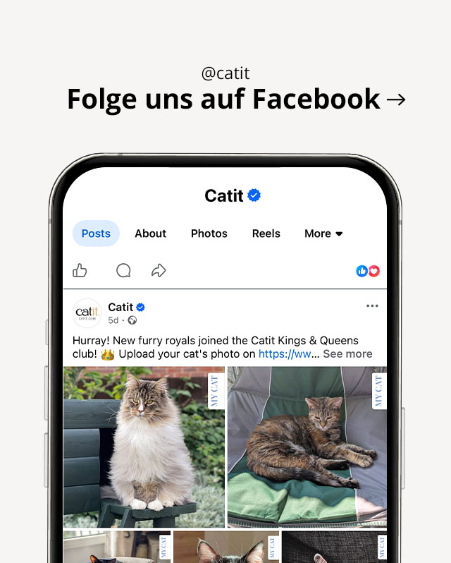 Besuchen Sie @catit auf facebook