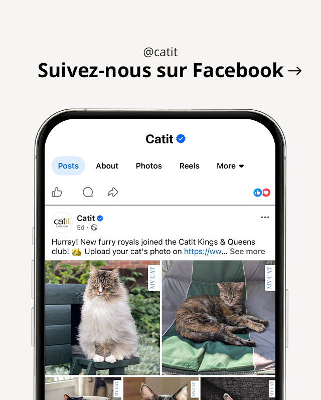 Visitez @catit sur Facebook