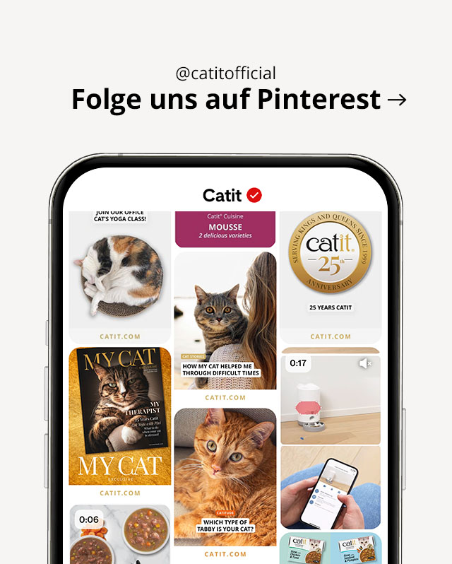 Besuchen Sie @catitofficial auf Pinterest