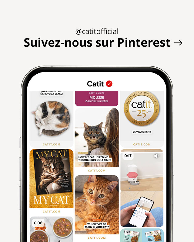Visitez @catitofficial sur Pinterest.