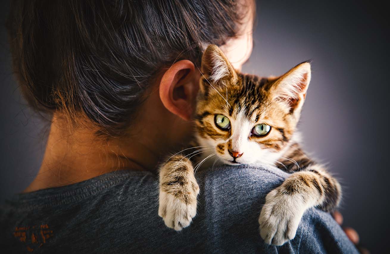 L’impatto di noi umani