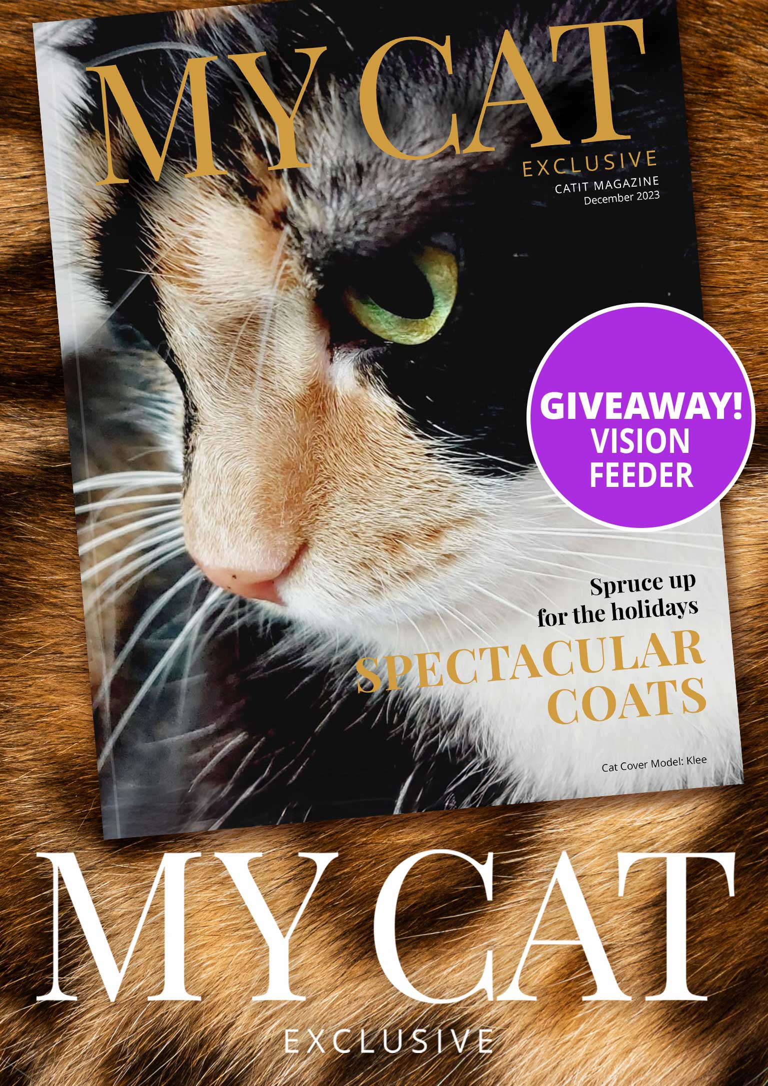 December 2023 issue of My Cat magazine featuring a cat named Klee and a giveaway for a Catit Vision Feeder