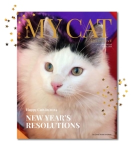 January 2024 Catit magazine cover featuring a fluffy white and black cat named Brownie with the theme New Year's Resolutions