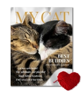 Catit magazine cover for February 2024 featuring two cats cuddling and articles on cat care and feline friendship