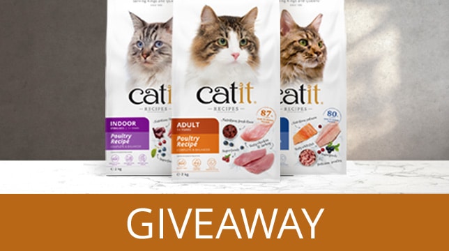 Catit cat food giveaway featuring three bags of dry cat food packaging
