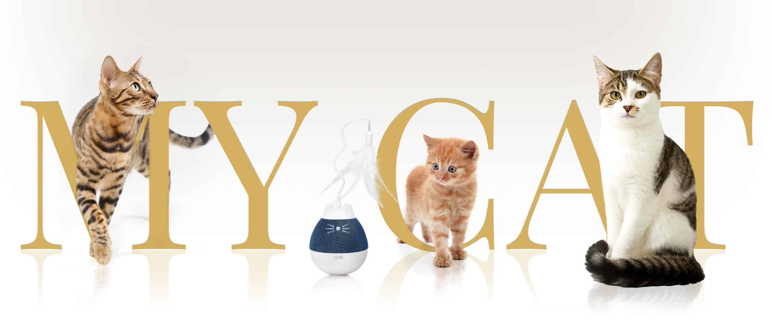Banner featuring three cats and a Catit PIXI toy with the text MY CAT