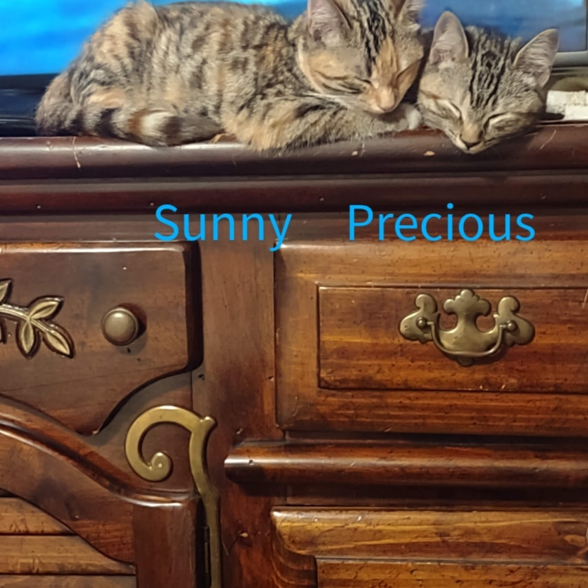 Precious and Sunny