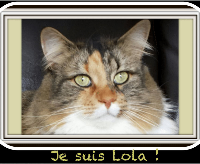Lola