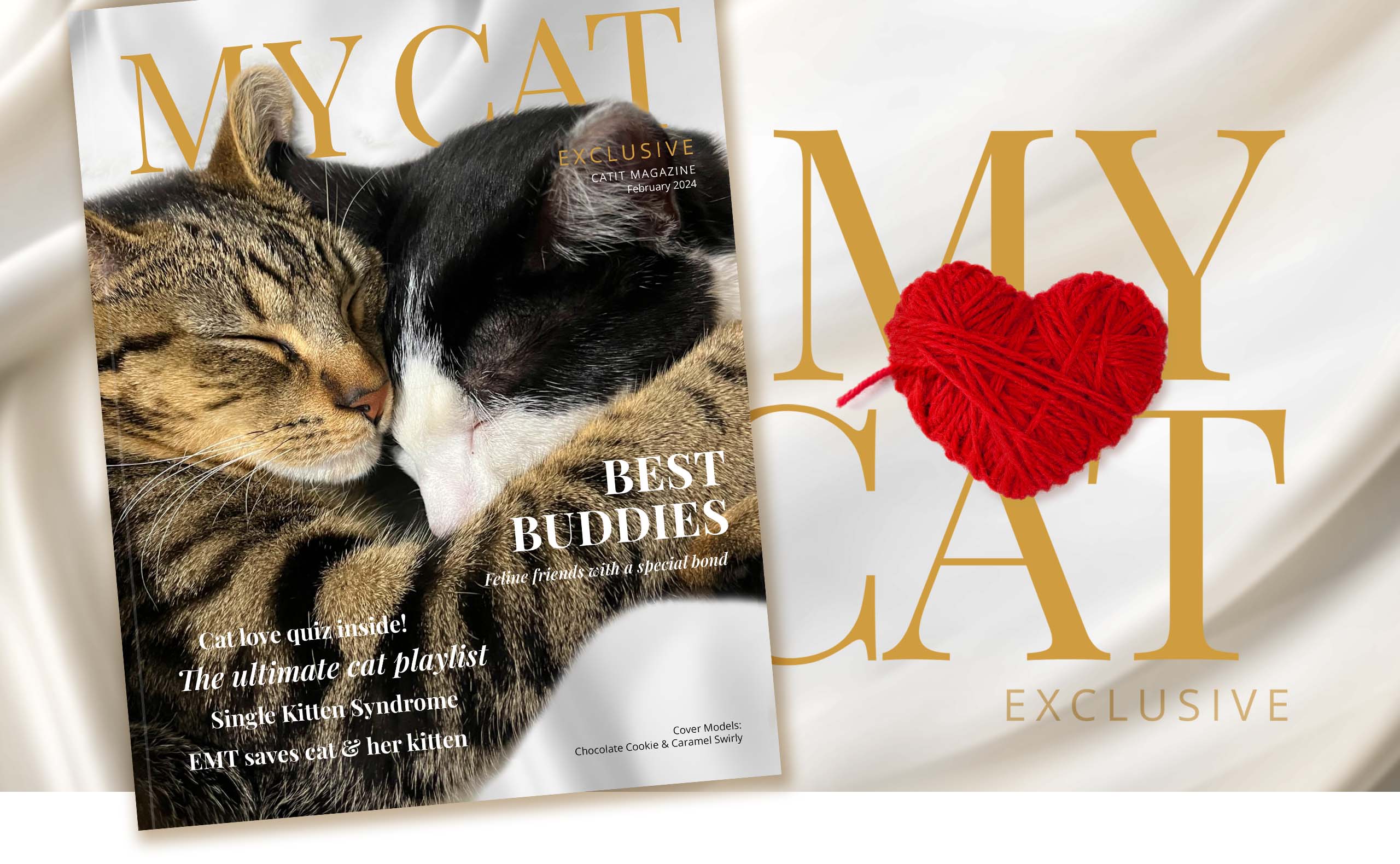 Catit Magazine February 2024 cover featuring two cats cuddling with the headline Best Buddies and other cat-related articles