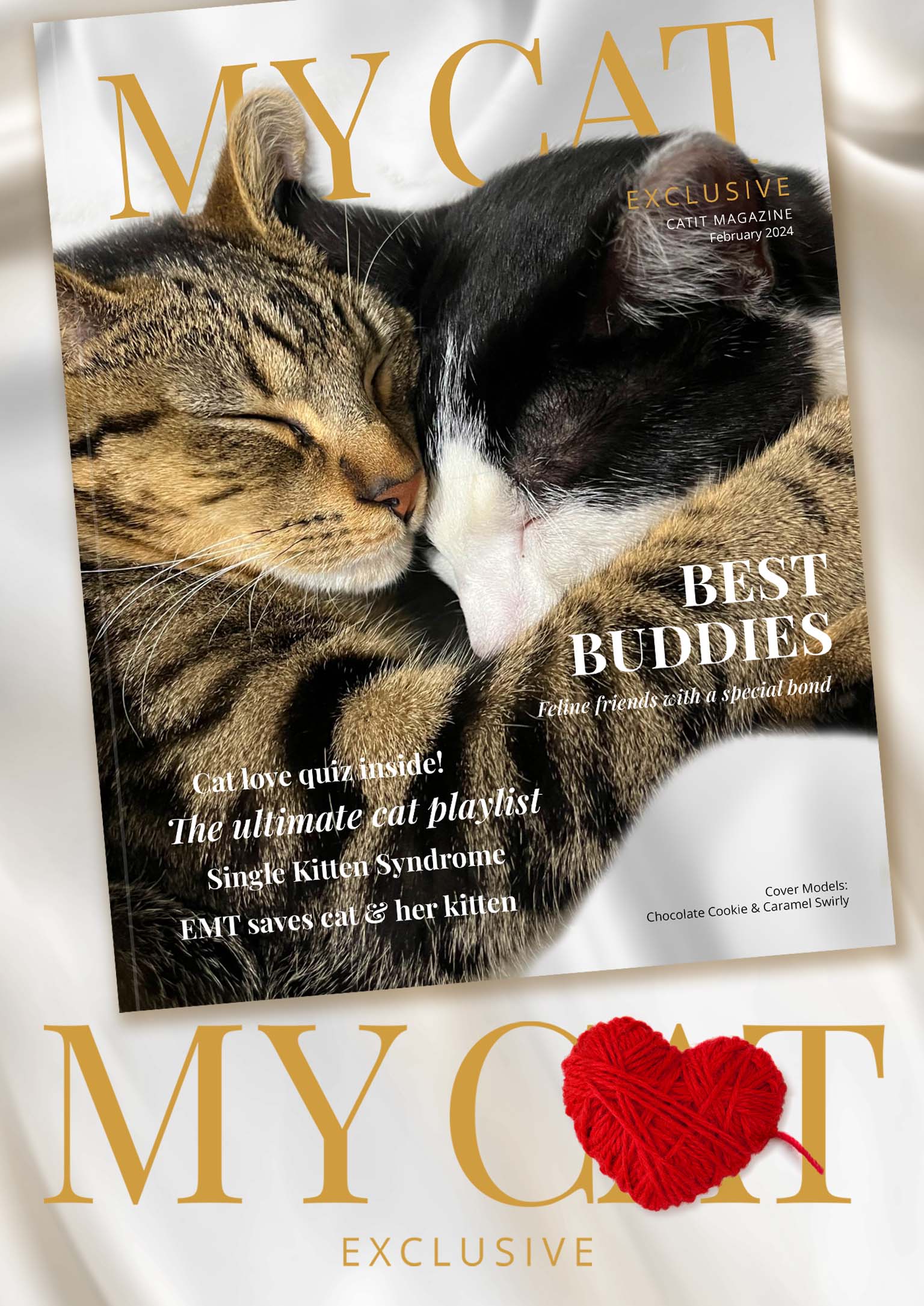 February 2024 Catit magazine cover featuring two cats cuddling with the headline Best Buddies and featured articles