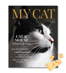 Catit magazine cover for March 2024 featuring a black and white cat and articles about cats, mice, and pet care tips