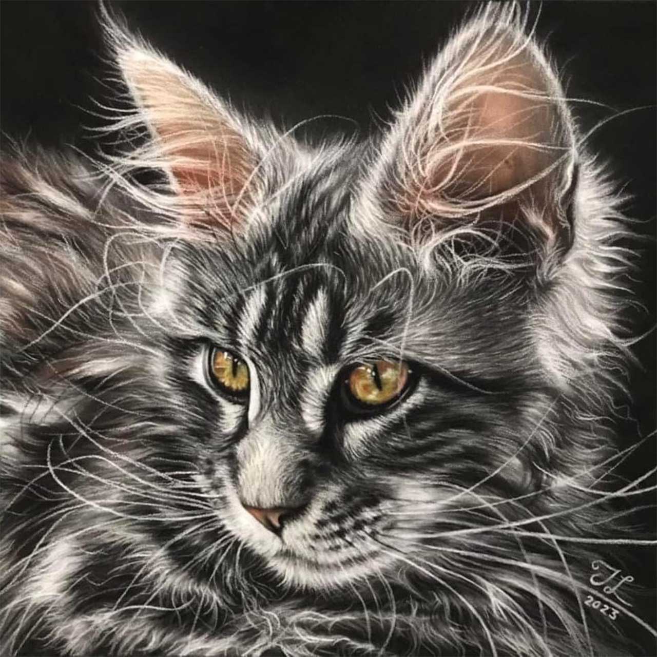 A detailed charcoal or pastel drawing of a fluffy Maine Coon cat with striking amber eyes against a black background