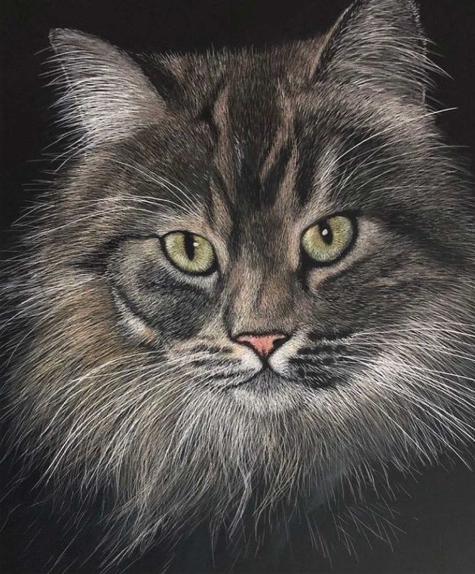 A detailed, artistic portrait of a long-haired tabby cat with green eyes against a black background