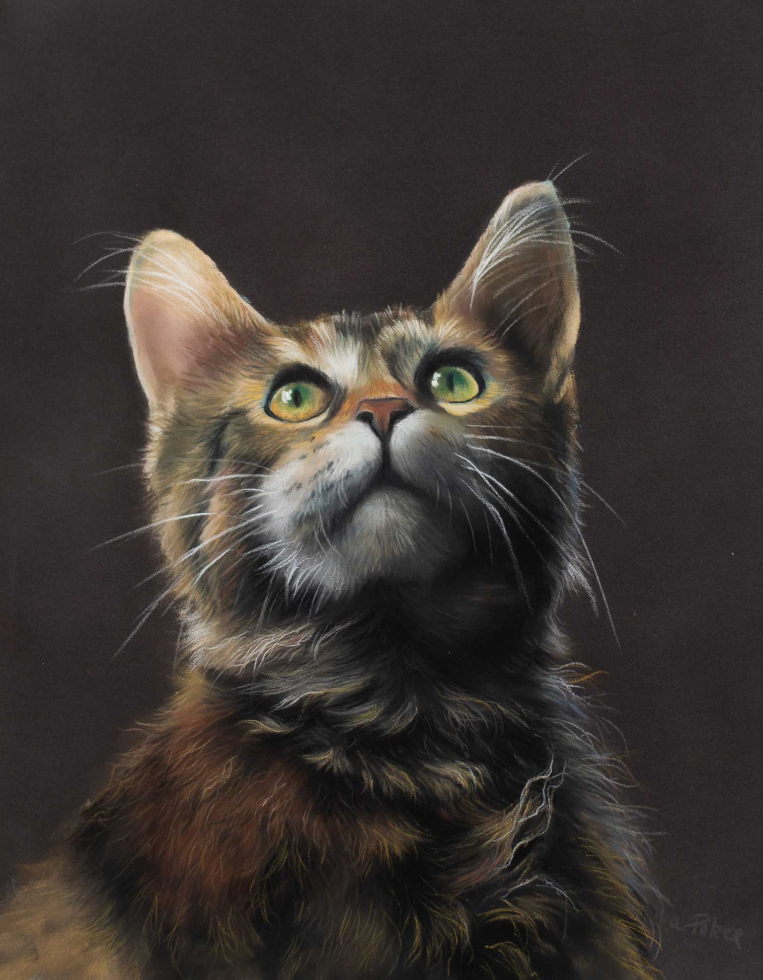 A detailed pastel drawing of a cat with green eyes looking upward against a dark background
