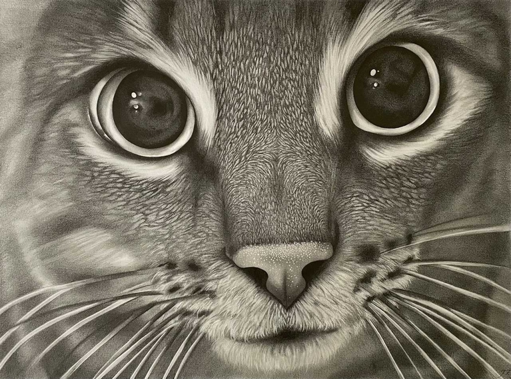 Detailed charcoal drawing of a cat's face, focusing on its large, expressive eyes and whiskers