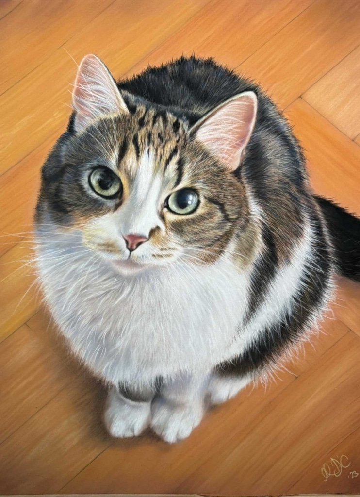 A realistic colored pencil drawing of a tabby and white cat looking up from a wooden floor