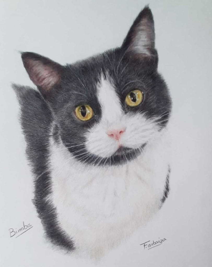 A realistic colored pencil drawing of a black and white cat named Bimba, signed by the artist F.arbaiza