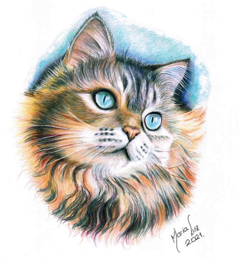 A colored pencil drawing of a long-haired cat with striking blue eyes and a calico-patterned coat