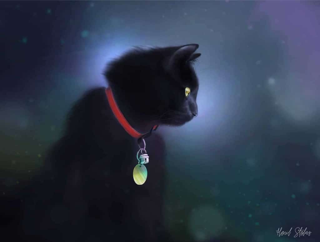 Digital art of a black cat in profile wearing a red collar with a tag against a dark, glowing background