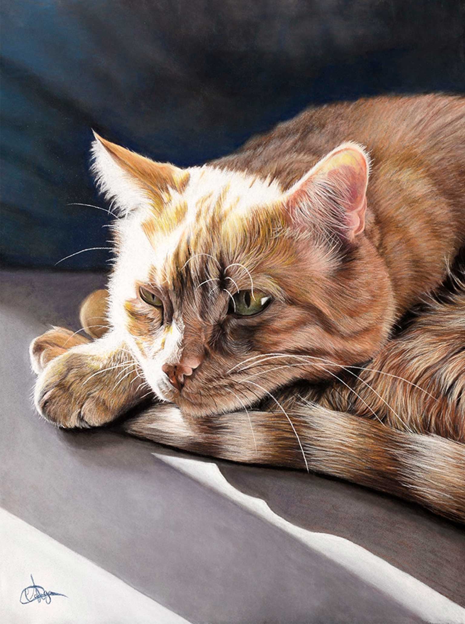A realistic colored pencil drawing of an orange tabby cat resting its head on its paws on a dark surface