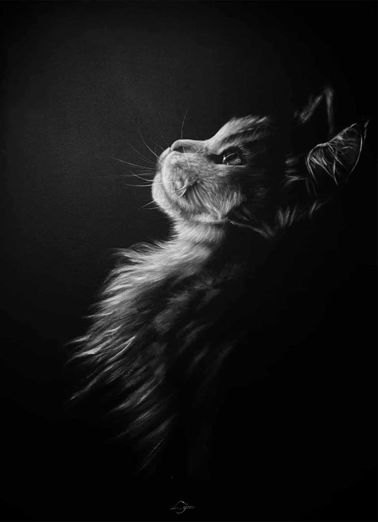 A detailed black and white charcoal drawing of a long-haired cat looking upward in profile against a dark background