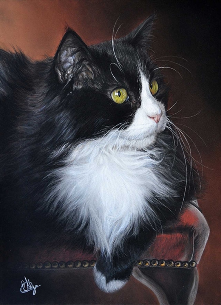 A realistic painting of a black and white long-haired cat with yellow eyes resting on a red chair