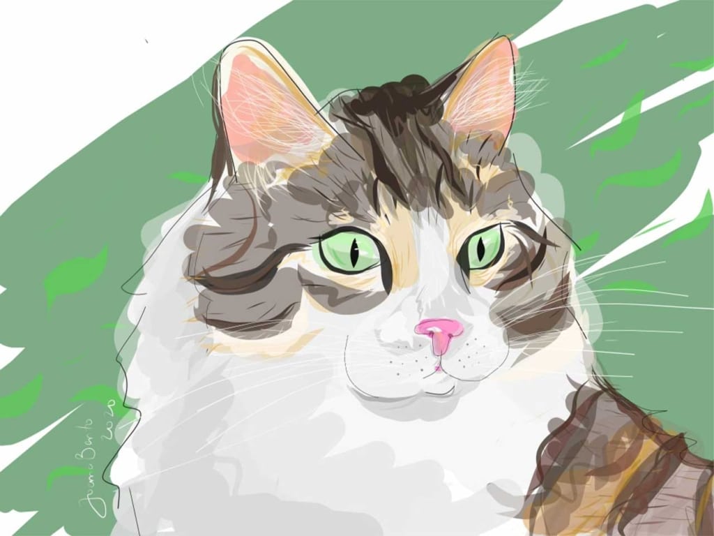Digital illustration of a fluffy cat with green eyes and brown, white, and tan fur against a green background