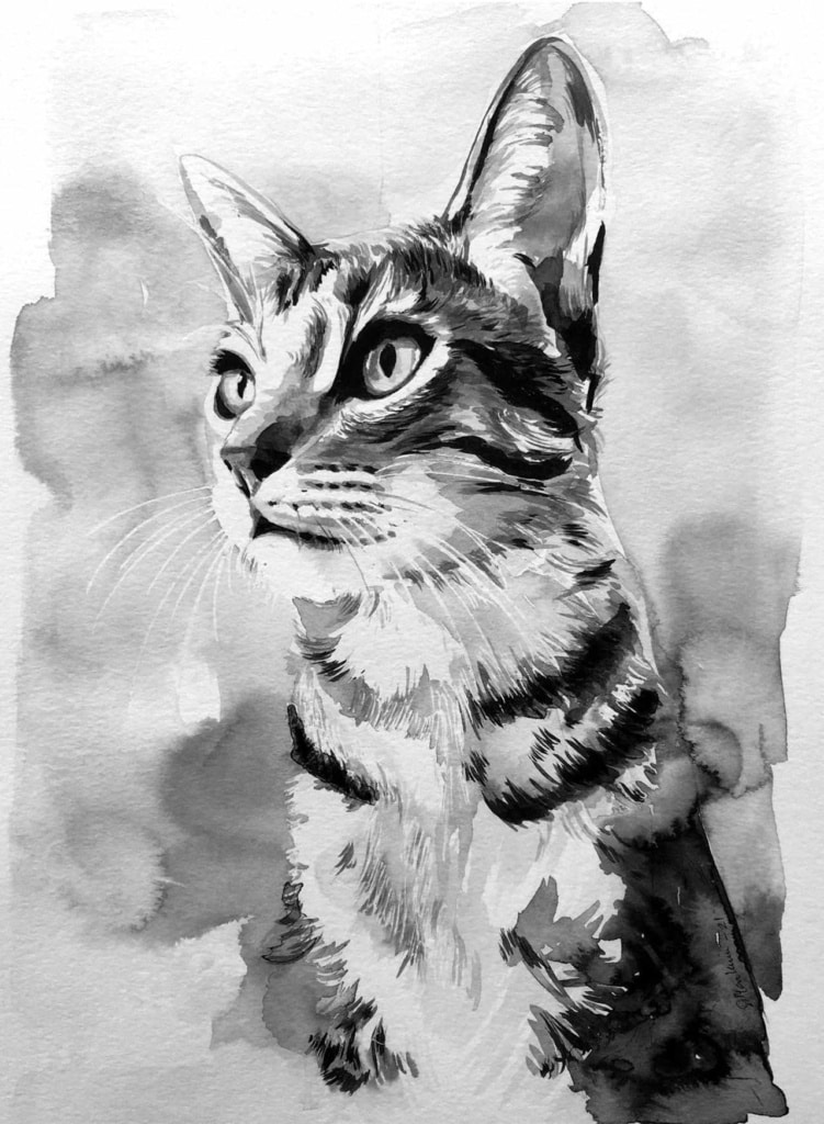 Black and white watercolor painting of a cat looking upward against a soft, abstract background