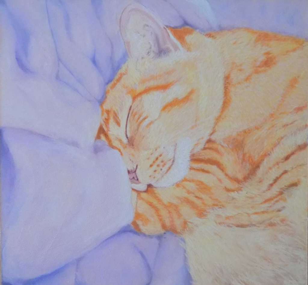 An orange tabby cat sleeping curled up on a soft purple blanket