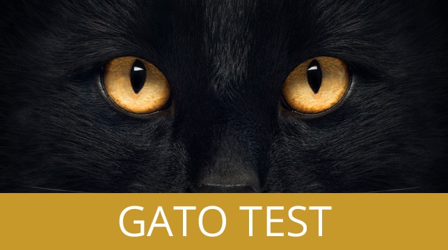 Gato Test