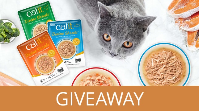 Catit Divine Shreds cat food giveaway featuring pouches and bowls of food with a cat looking on