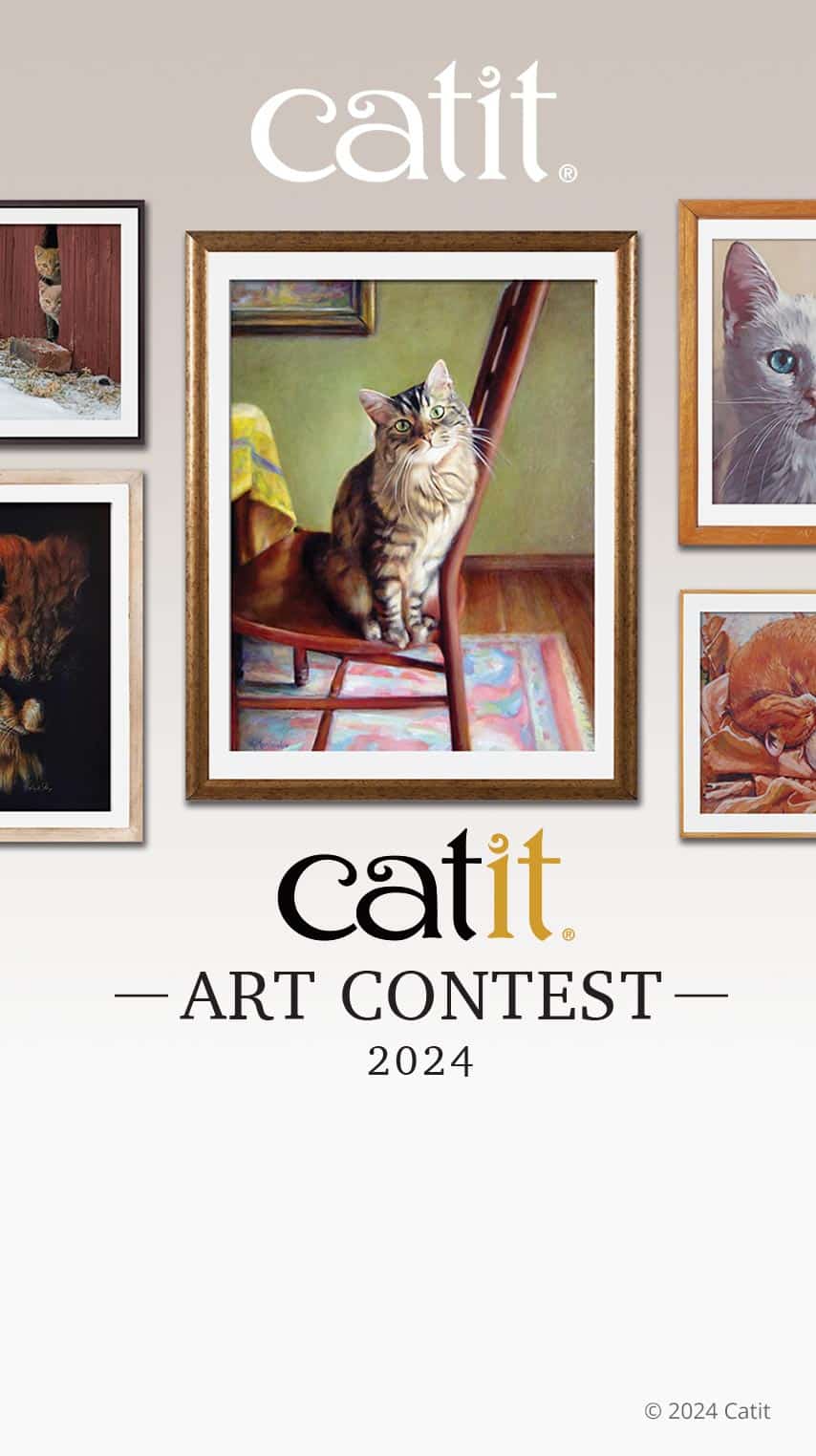 Catit Kunst-Wettbewerb Frame