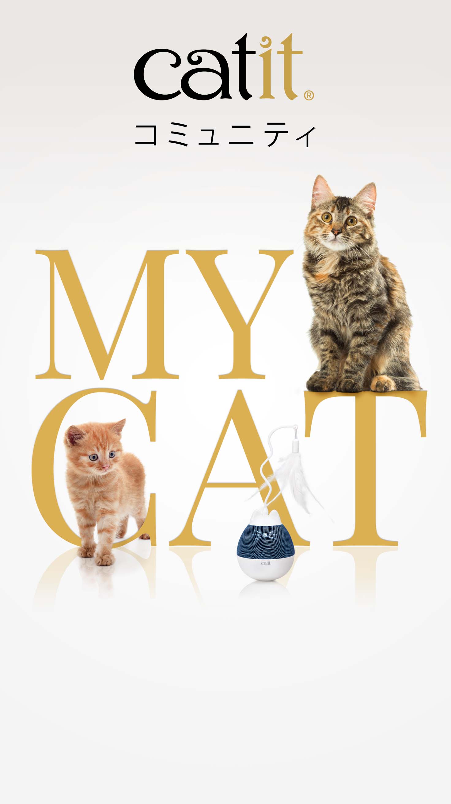 Catit Community
