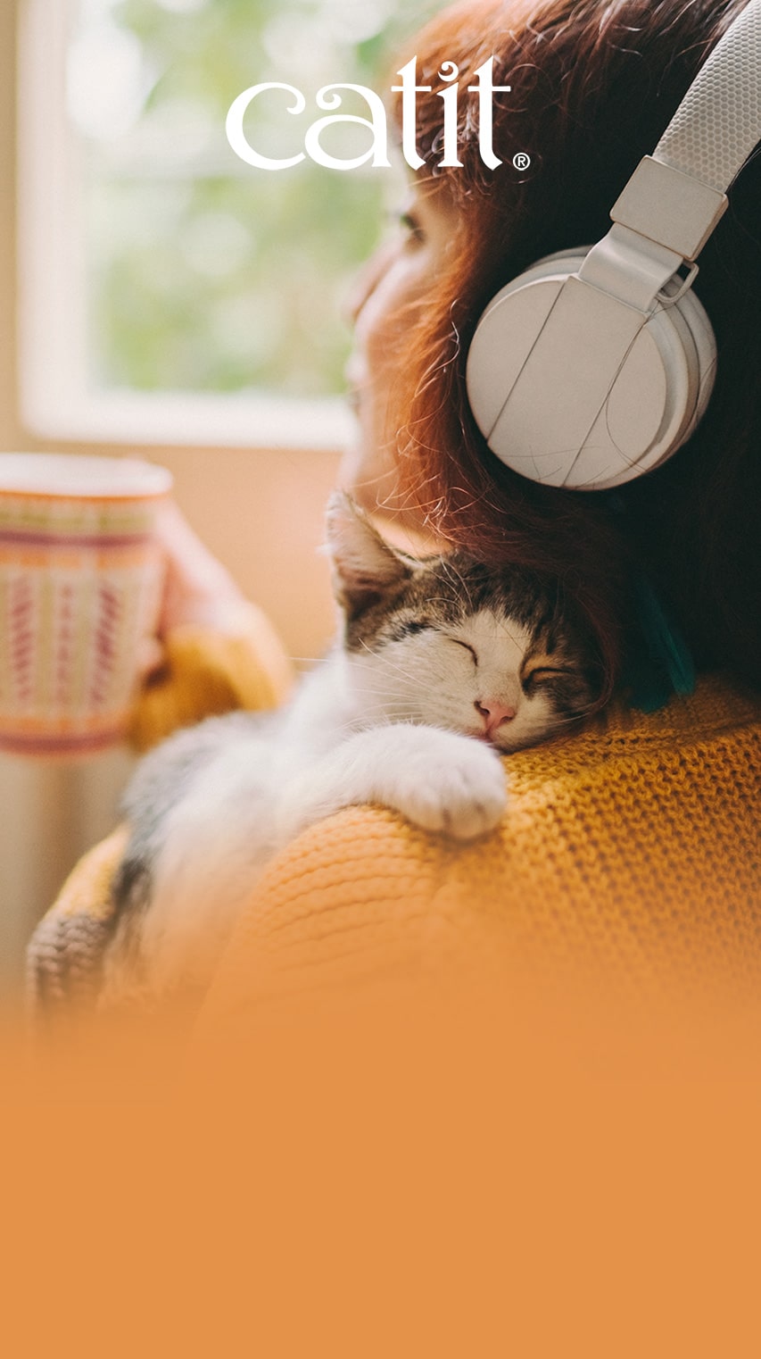 The ultimate cat playlist