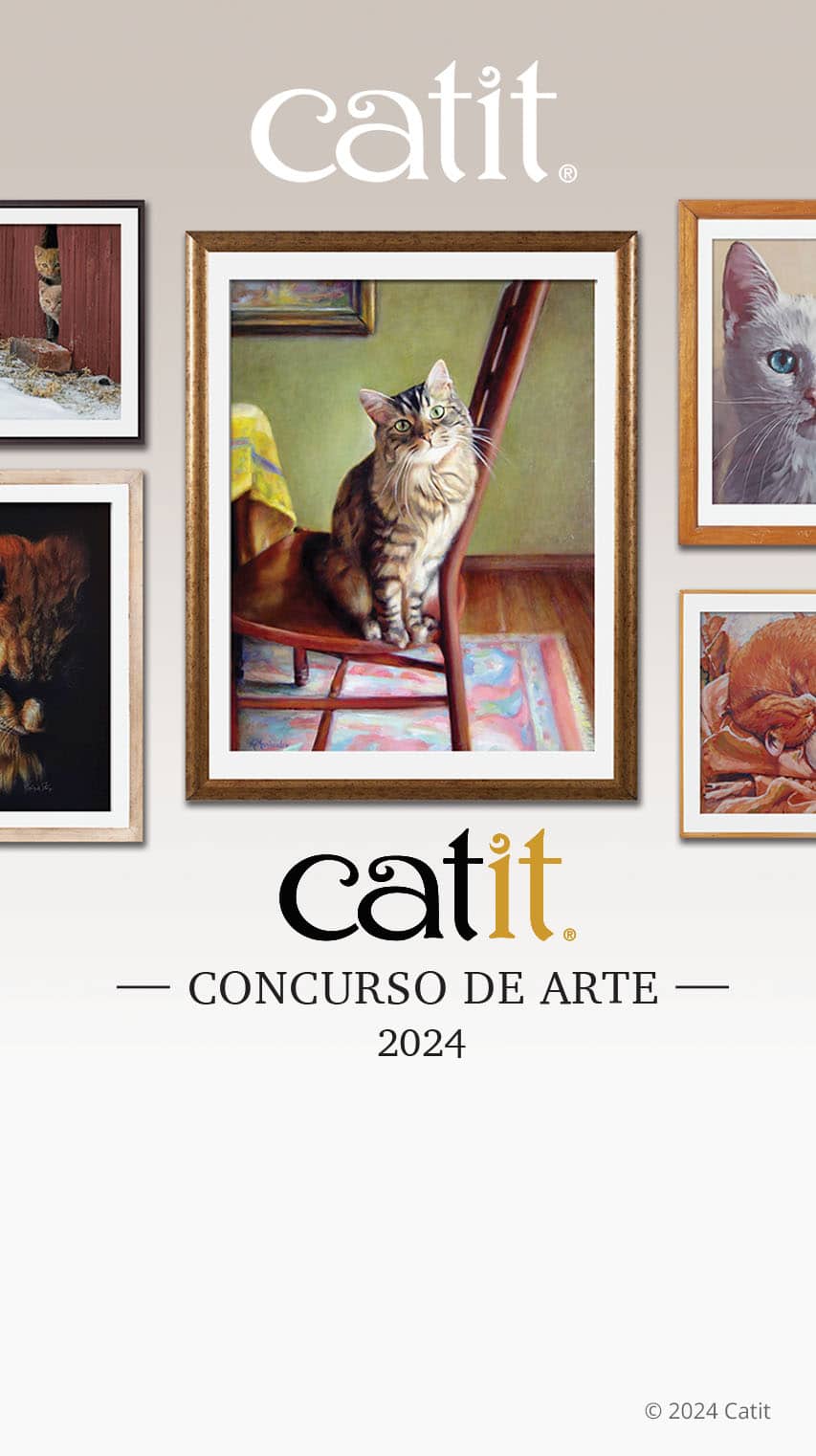 Concurso de Arte Catit 2024