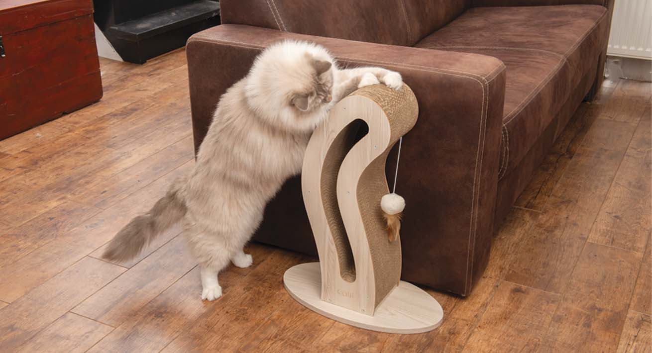 Wie hält man Katzen davon ab, an den Möbeln zu kratzen?