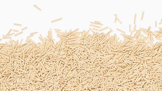A pile of cylindrical, light-colored pea husk cat litter pellets