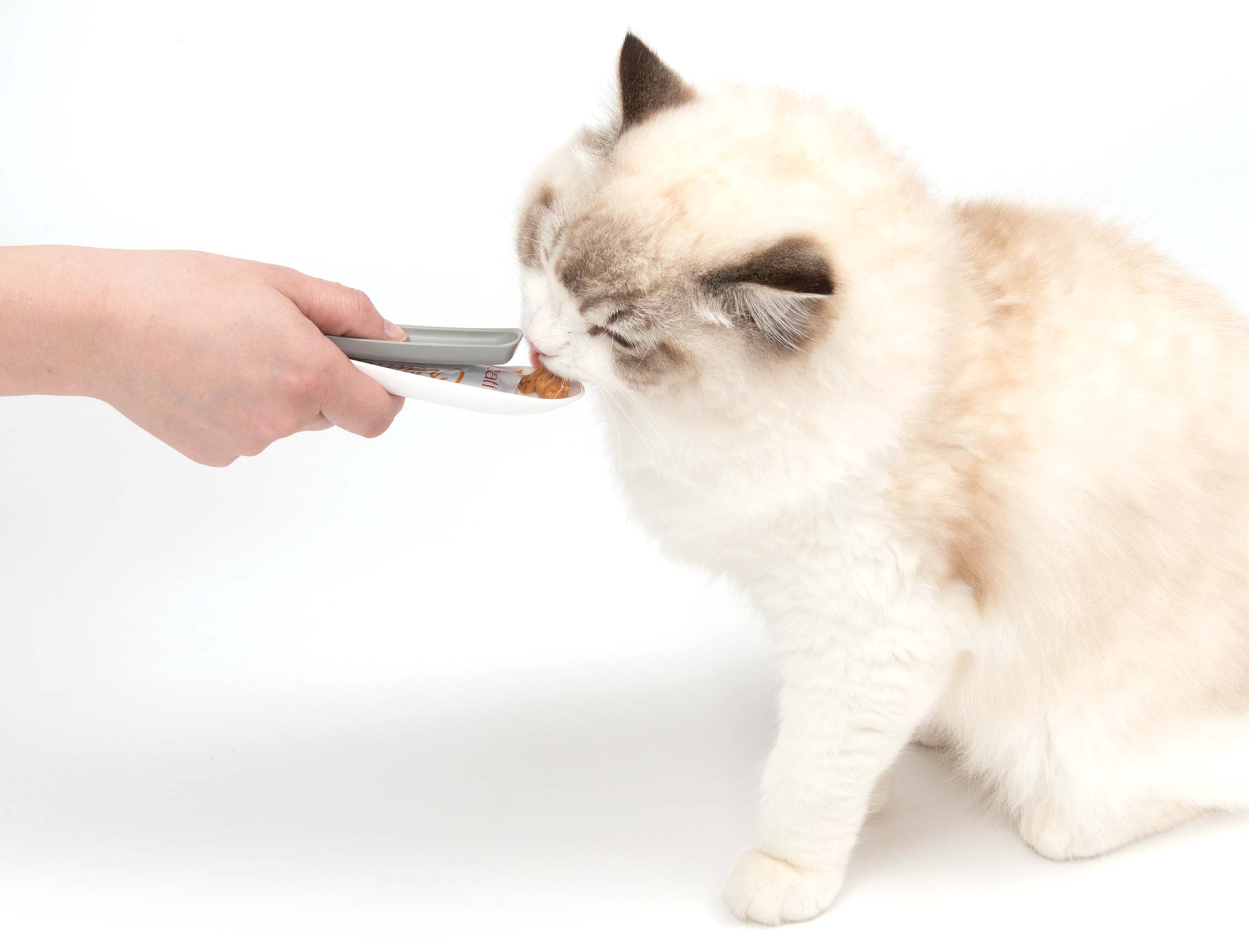 Cat licking creamy from the Catit creamy spoon